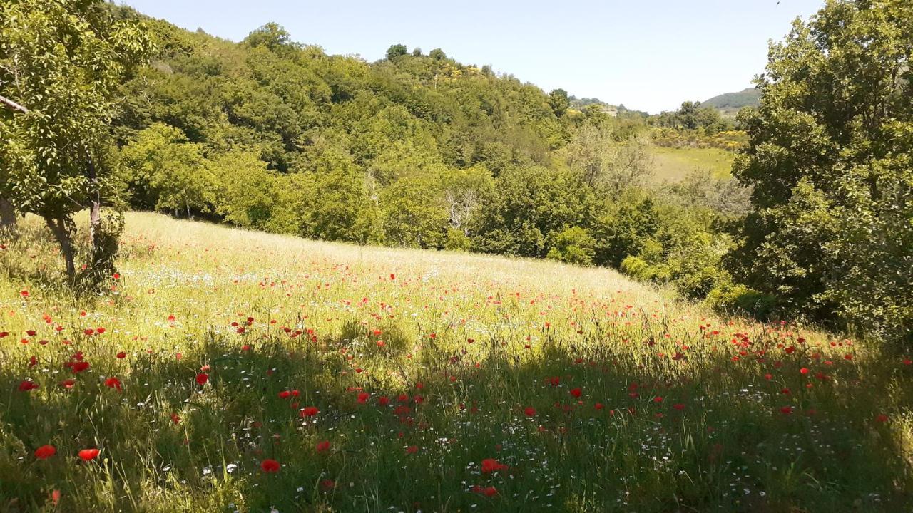 Agriturismo Marcofrate, A Retreat In The Nature Valtopina Eksteriør bilde